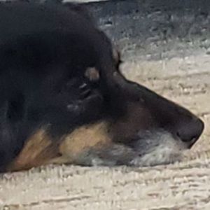 Meet your Posher, Kristy